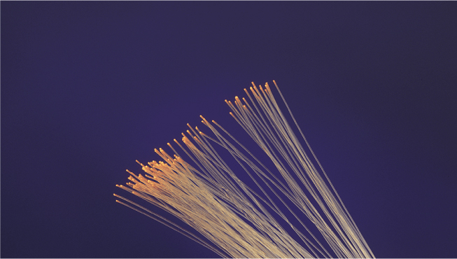 Optical fiber